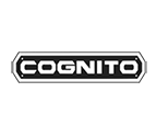 Cognito Category